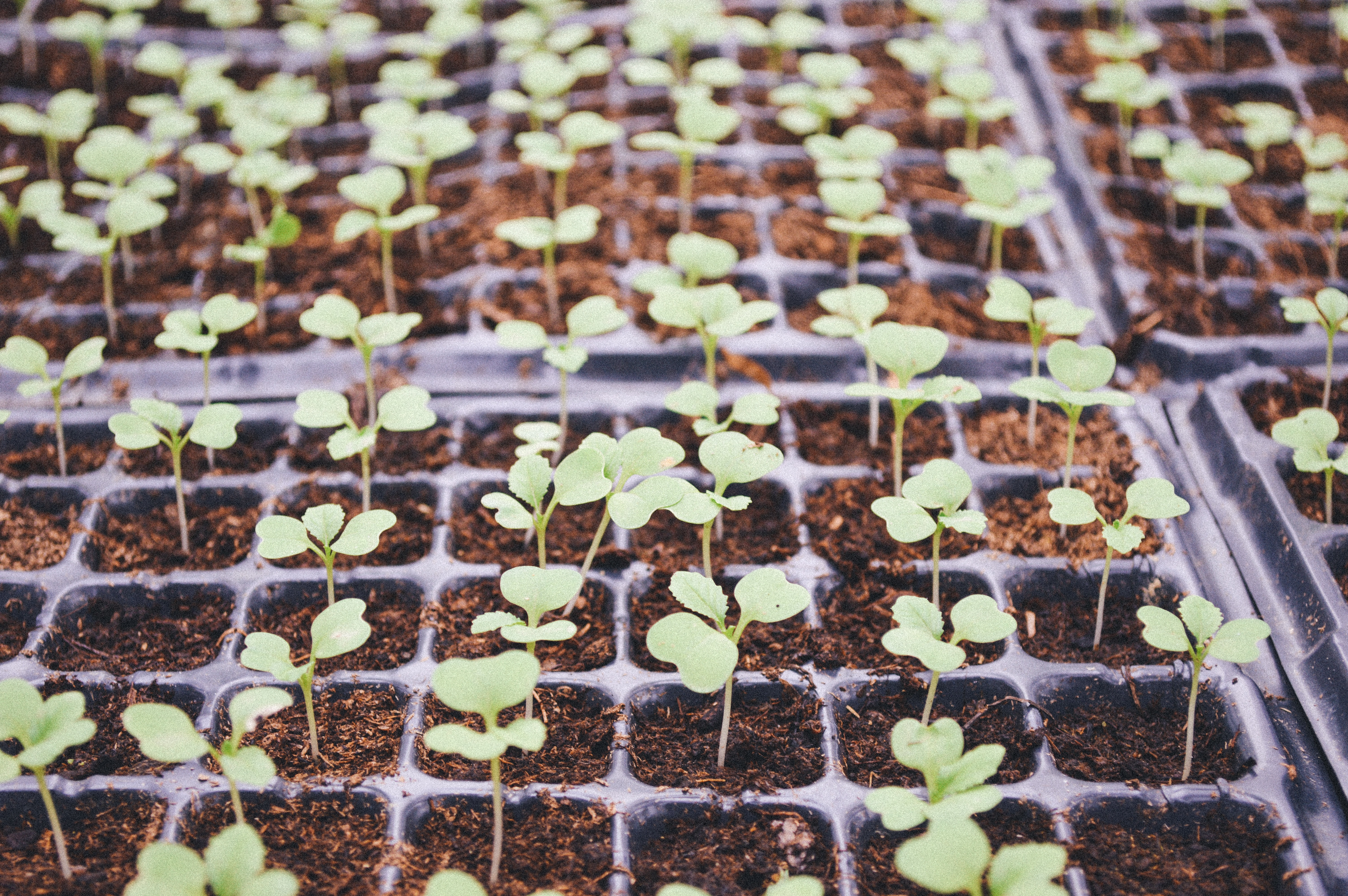 How To Start Building Your Brand – Part 2