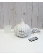 Oil Diffuser #556