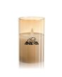L234-M-Antares Electronic Candle Custom Printed