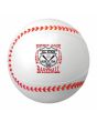 Beach Balls - Sport Theme - 16" G07-SBB16