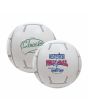 Beach Balls - Sport Theme - 16" G07-SBB16