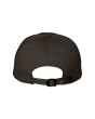 Classic Dad Hat - 6245CM