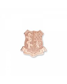 Lapel Pin Die Struck (Up to 1")